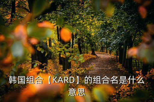韓星網,韓團體隱藏歌姬出道發揮創意