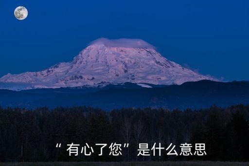 “ 有心了您”是什么意思