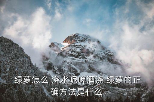 綠蘿怎么澆水,要保持土壤略濕潤綠蘿需要澆水或儲水盆