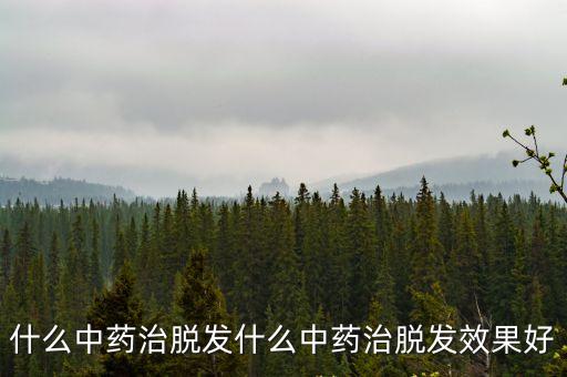 什么中藥治脫發什么中藥治脫發效果好