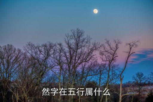 然字五行屬什么，然字五行究竟屬什么