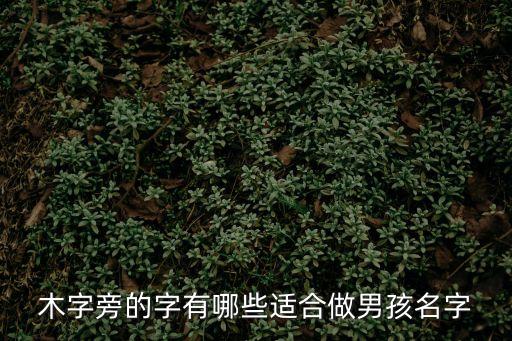 木字旁的字有哪些適合做男孩名字