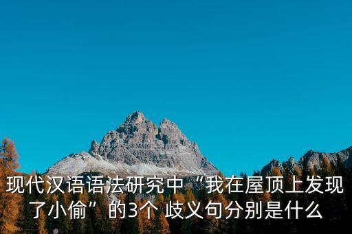 現(xiàn)代漢語語法研究中“我在屋頂上發(fā)現(xiàn)了小偷”的3個 歧義句分別是什么
