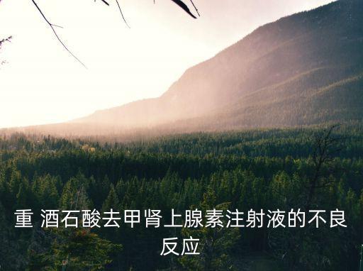 重酒石酸,酒石酸間羥胺注射液不良反應:1嚴重高血壓昏厥