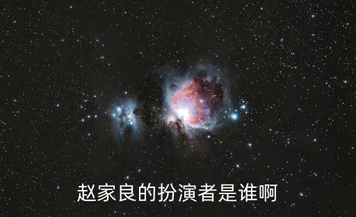 李龍君，趙家良的扮演者是誰啊