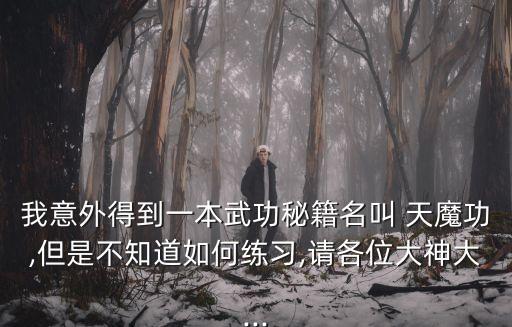 我意外得到一本武功秘籍名叫 天魔功,但是不知道如何練習,請各位大神大...
