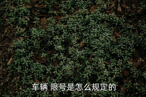 車輛限號,本地車輛限行限號規則