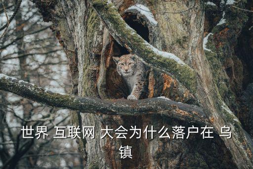 烏鎮互聯網大會,第四屆世界互聯網-2/將首發布藍皮書