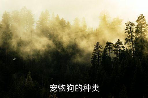 寵物狗,比格犬是一種常見的小型犬