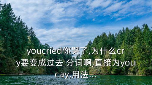 youcried你哭了,為什么cry要變成過去 分詞啊,直接為youcay,用法...