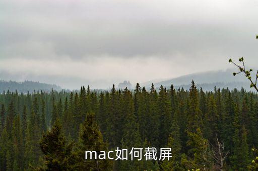 mac如何截屏