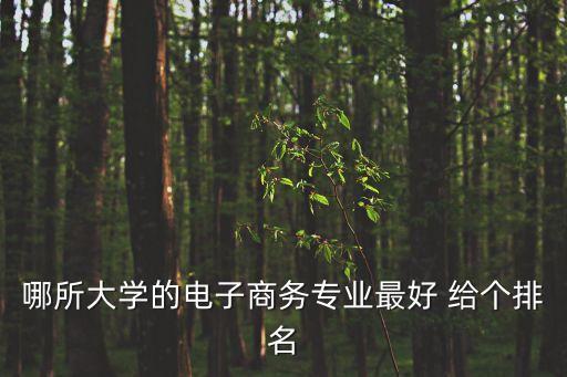 電子商務(wù)專業(yè)排名，哪個(gè)學(xué)校的電子商務(wù)專業(yè)好