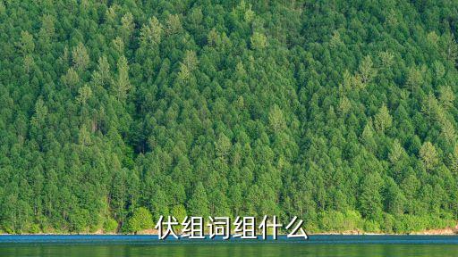  伏組詞組什么