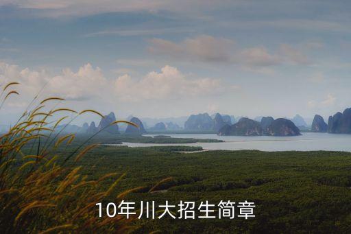 四川大學招生簡章，10年川大招生簡章