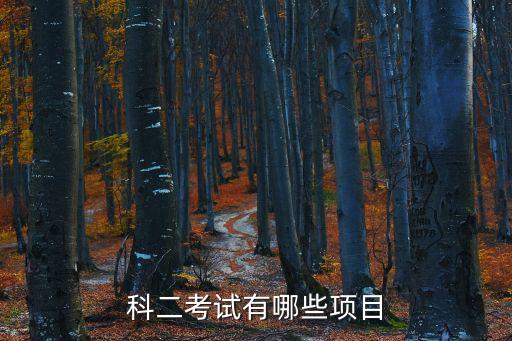 科二考試有哪些項(xiàng)目
