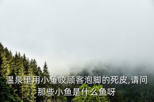 溫泉里用小魚咬顧客泡腳的死皮,請問那些小魚是什么魚呀