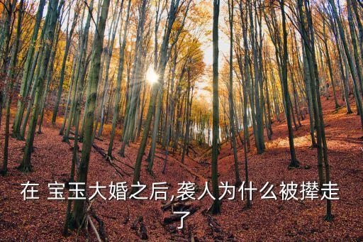 在 寶玉大婚之后,襲人為什么被攆走了
