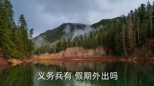 義務兵有假期嗎,軍官和士官都有年假?法律分析:兩年無假期