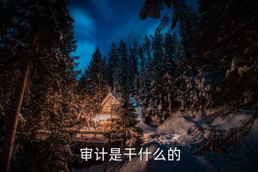 審計的職能,學習審計職能:更準確把握審計客觀事物