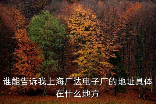 誰能告訴我上海廣達電子廠的地址具體在什么地方