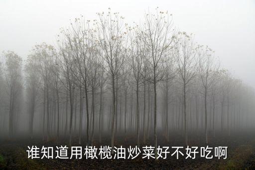橄欖油炒菜好吃嗎，用橄欖油炒菜好嗎