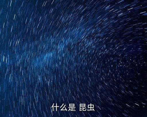 什么是 昆蟲