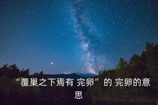 焉有完卵,鳥巢的秘密:窩下有完卵嗎?
