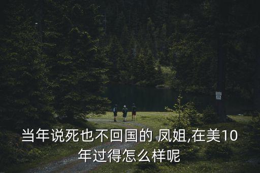 鳳姐在美國,羅玉鳳:美國夢不容易在中國實現