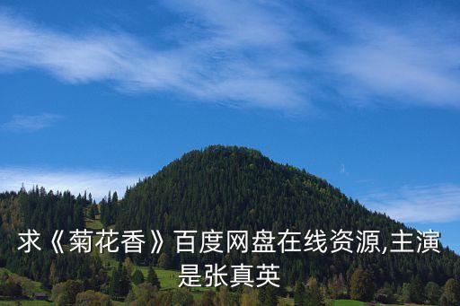 野菊花影院,【《春花花開》:男主角吉仔失去父母和愛人
