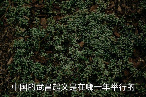 中國的武昌起義是在哪一年舉行的