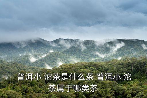 普洱沱茶,普洱沱茶有何來頭?
