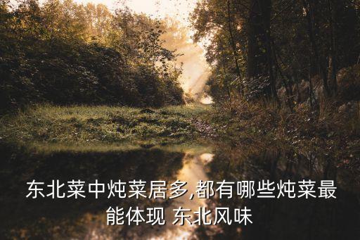 東北燉菜大全,東北特色地域菜受南北方人民喜愛