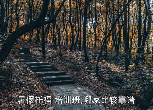 暑假托福 培訓班,哪家比較靠譜