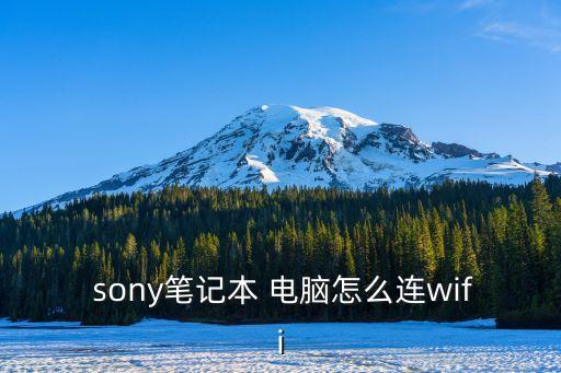 sony電腦,2005年至今共退出18款一體機(jī)(全部停產(chǎn))
