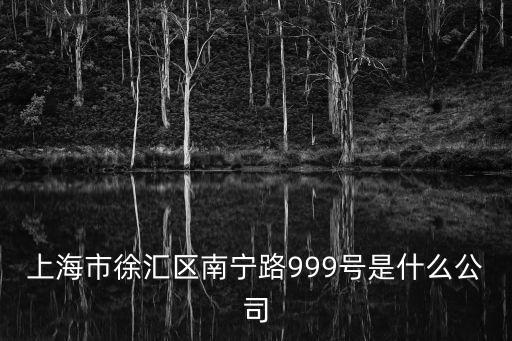 上海市徐匯區(qū)南寧路999號是什么公司