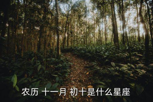 十一月初十,農歷2022-1初十是黃道吉日嗎?