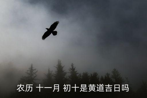 農歷 十一月 初十是黃道吉日嗎