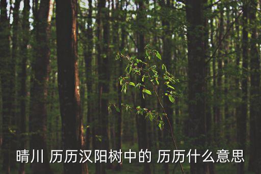 晴川 歷歷漢陽樹中的 歷歷什么意思
