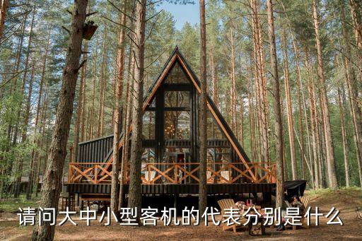 請(qǐng)問(wèn)大中小型客機(jī)的代表分別是什么