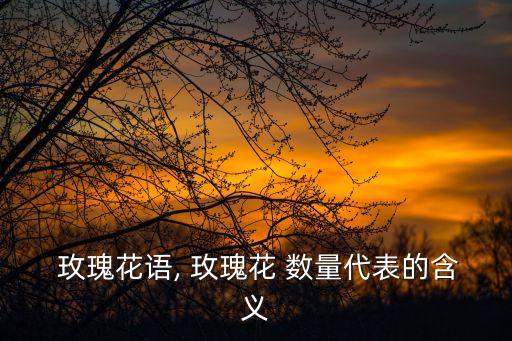  玫瑰花語, 玫瑰花 數量代表的含義
