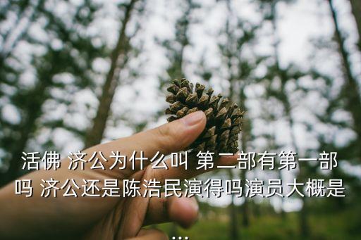 活佛 濟(jì)公為什么叫 第二部有第一部嗎 濟(jì)公還是陳浩民演得嗎演員大概是...