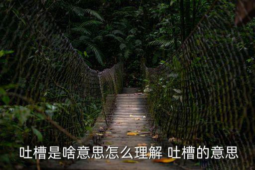  吐槽是啥意思怎么理解 吐槽的意思