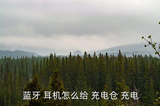 藍(lán)牙耳機(jī)如何充電,藍(lán)牙耳機(jī)充電:充電筒倉相當(dāng)于小充電器件