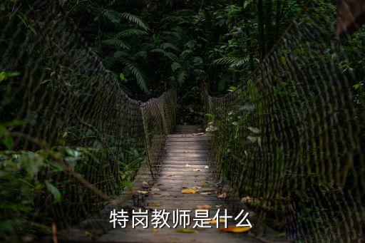 特崗教師是什么