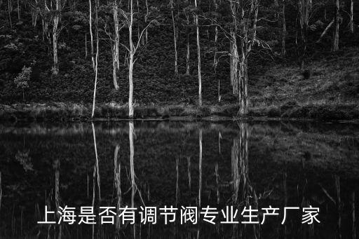 上海市閥門二廠調節閥，上海是否有調節閥專業生產廠家
