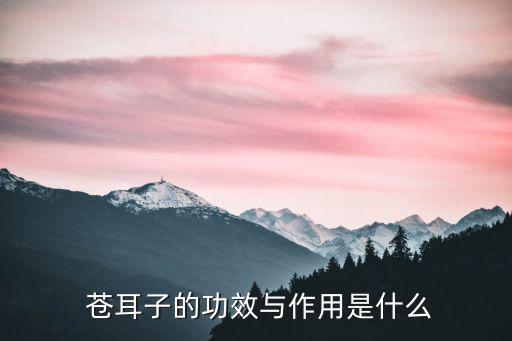  蒼耳子的功效與作用是什么