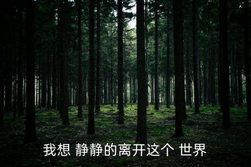 我想 靜靜的離開這個 世界
