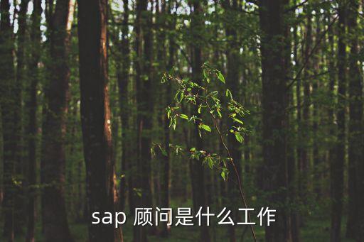 sap顧問,9000多名國內sap顧問出任總裁