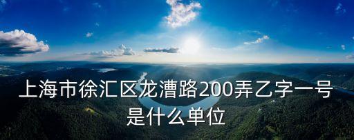 上海市徐匯區龍漕路200弄乙字一號是什么單位