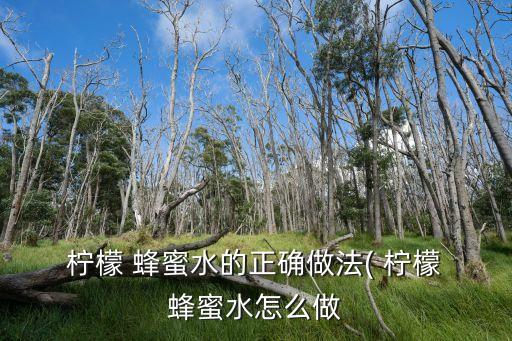 檸檬 蜂蜜水的正確做法( 檸檬 蜂蜜水怎么做